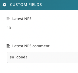 updating custom fields